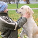 gut-versichert-als-hundebesitzer